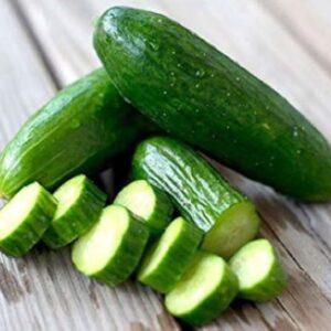 Persian Cucumber