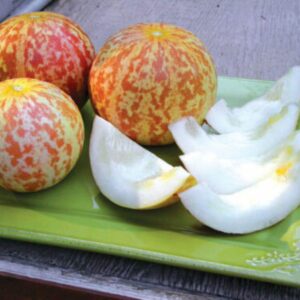 10 Organic Tigger Melon seeds - Grown in USA !! Specialty ! Unique ! Petite!