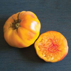 10 Organic Heirloom striped German tomato seeds - juicy/jumbo tomato - Harvested in the USA ! Beefsteak ! Tasty !