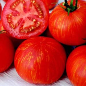 10 Organic Skyreacher tomato seed - Grown in USA ! Beautiful ! Juicy ! 2024 ! Gourmet ! Specialty !