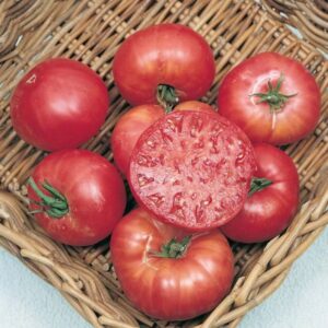 10 Mortgage Lifter (Halladays) tomato seeds - Grown in USA ! Beefsteak ! Juicy ! Tasty ! Heirloom !