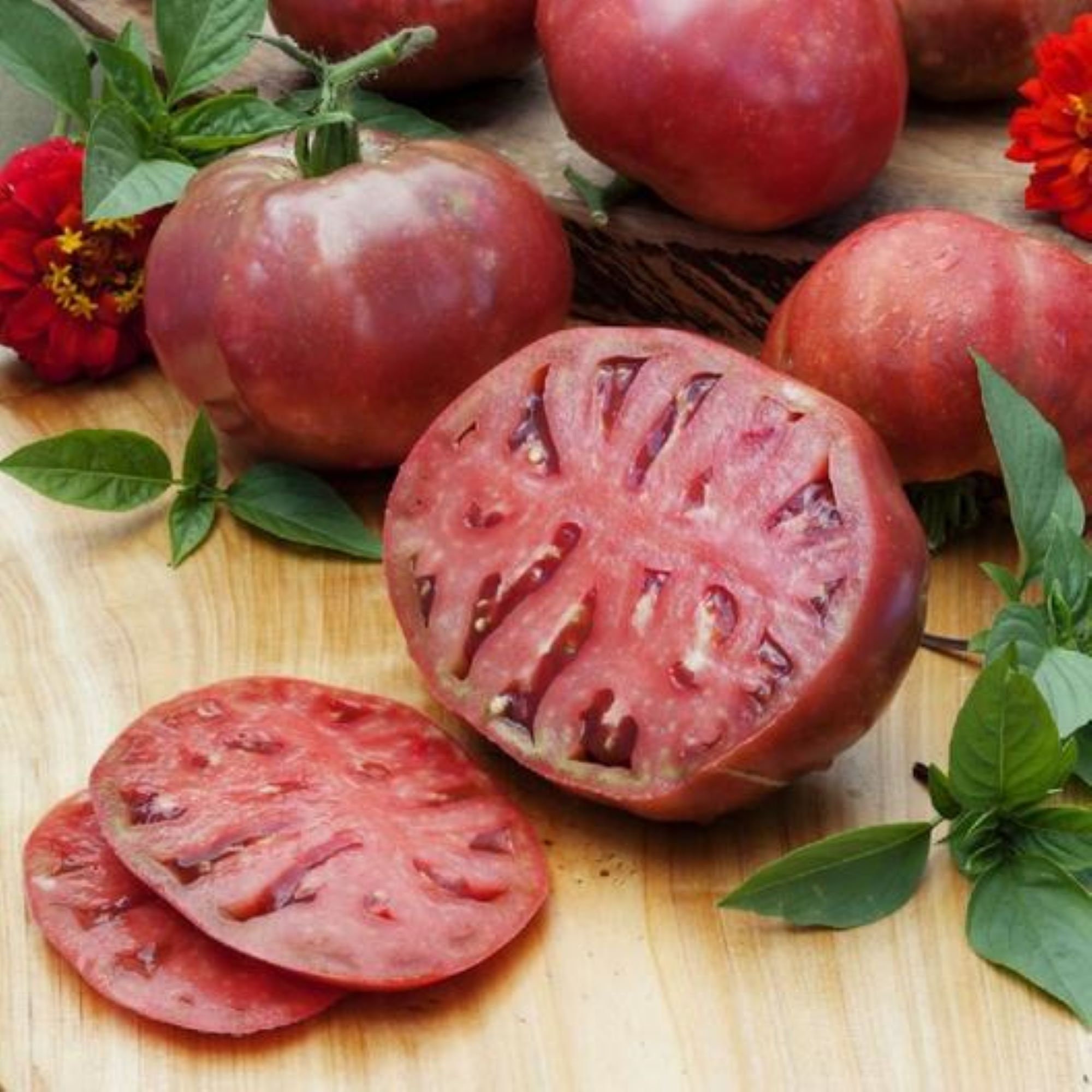 10 Organic Purple Cherokee tomato seeds - Grown and harvested in the USA ! Tasty ! Heirloom ! Sweet !