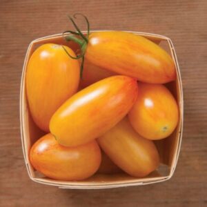 10 Organic Blush tomato seeds - Grown in USA ! Artisan ! Specialty ! Tasty ! Cherry !