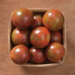 10 Organic Purple Bumblebee tomato seeds - Grown in USA ! Artisan ! Specialty ! Gourmet ! Sweet !