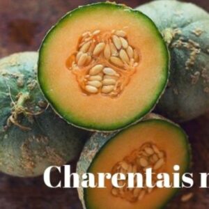 10 Organic Charentais "Cantaloupe" seeds-  Sweet, Melon - Grown in USA ! 2024 ! Specialty ! Delicious !