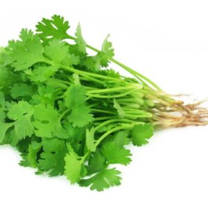Organic Cilantro seeds - Slow bolt - Grown in USA ! 2024 ! Herbs ! Tasty ! Fresh !