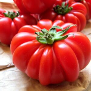 10 Costoluto Tomato seeds - Italian tomato Grown in USA ! Gourmet ! Specialty ! Beautiful ! 2024 !