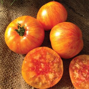 10 Organic Beauty King tomato seeds - Grown in USA ! Beautiful ! Sweet ! Beefsteak ! Specialty !