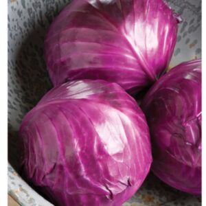 Ruby Perfection Red cabbage seeds - Grown in USA - Half gram Approx 100+ seeds ! Specialty ! Tasty !