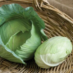 Tendersweet green cabbage seeds - Grown in USA ! 2024 ! Healthy ! Delicious !