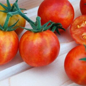 10 Isis Candy cherry tomato seeds - Grown in USA Juicy ! Sweet ! Indeterminate ! 2024 ! Gourmet ! Artisan !