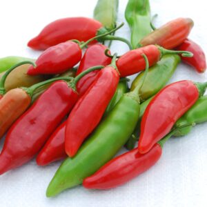 10 Aji Delight pepper seeds - Grown/Harvested in USA - Sweet, delicious pepper ! Specialty !! Gourmet !