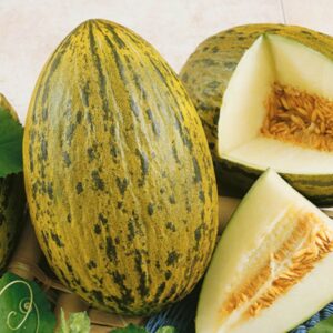 10 Piel De Sapo Melon seeds - Grown/Harvested in USA - Sweet/Juicy melon !! Unique ! Specialty !