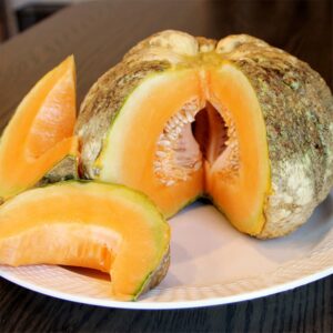 10 Prescott Fond Blanc melon seeds  Grown/Harvested in USA - Sweet ! Unique ! Specialty ! Juicy !