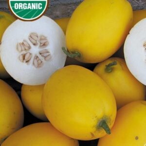 10 Organic Mango Melon (Vine Peach) seeds  Grown/harvested in USA! Unique ! Melon ! Specialty ! Sweet ! Jam !