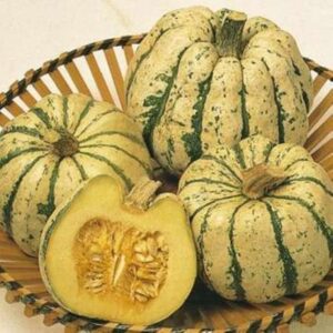 10 Sweet Dumpling squash seeds - Grown/Harvested in USA Delicious ! Tasty ! Specialty ! 2024 ! Winter squash !