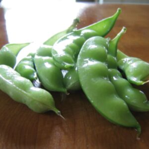 Dwarf Sugar Grey Snow Pea
