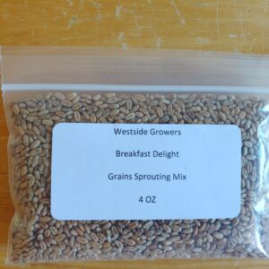 Two pkgs of Breakfast Delight Grain Sprout mix - Free Ship - High quality, Microgreen USA