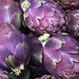 10 Violet Star Globe Artichoke seeds  Grown/Harvested in USA !! Beautiful ! Specialty !
