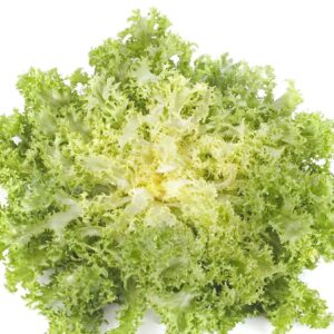 Endive - Frisse seeds - one gram (appr 200 seeds) - Grown/Harvested in USA !! Fresh ! Healthy ! Salad green !