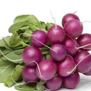 Purple Plum Radish