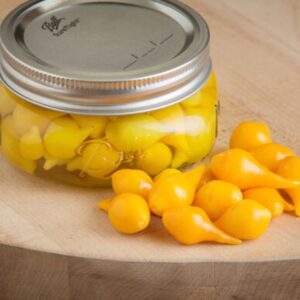 10 Yellow Biquinho hot pepper seeds - Grown in USA ! 2024 ! Hot ! Specialty ! Tasty !