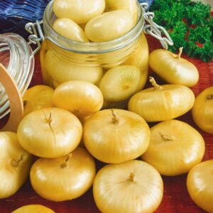 One half gram (100+ Seeds) Yellow Cipollini onion seeds - Grown in USA ! Beautiful ! Sweet ! Gourmet ! Specialty !