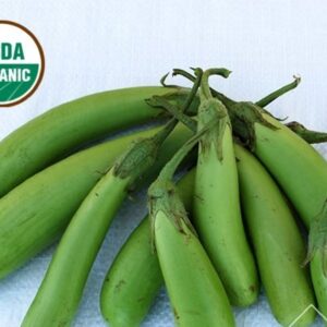 Organic Thai Green Asian Eggplant