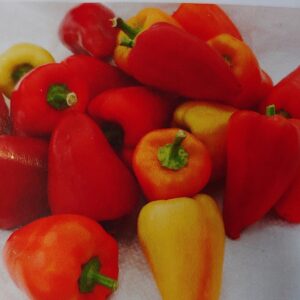 10 Red Belgian sweet pepper seeds - Beautiful, Sweet ! Grown and Harvested in USA !! 2024 ! Specialty !