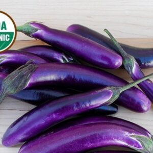 Organic Ping Tung Eggplant