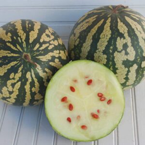 10 Citron, Red Seeded watermelon seeds - Sweet/Juicy - Unique - Grown/Harvested in USA !! Specialty !
