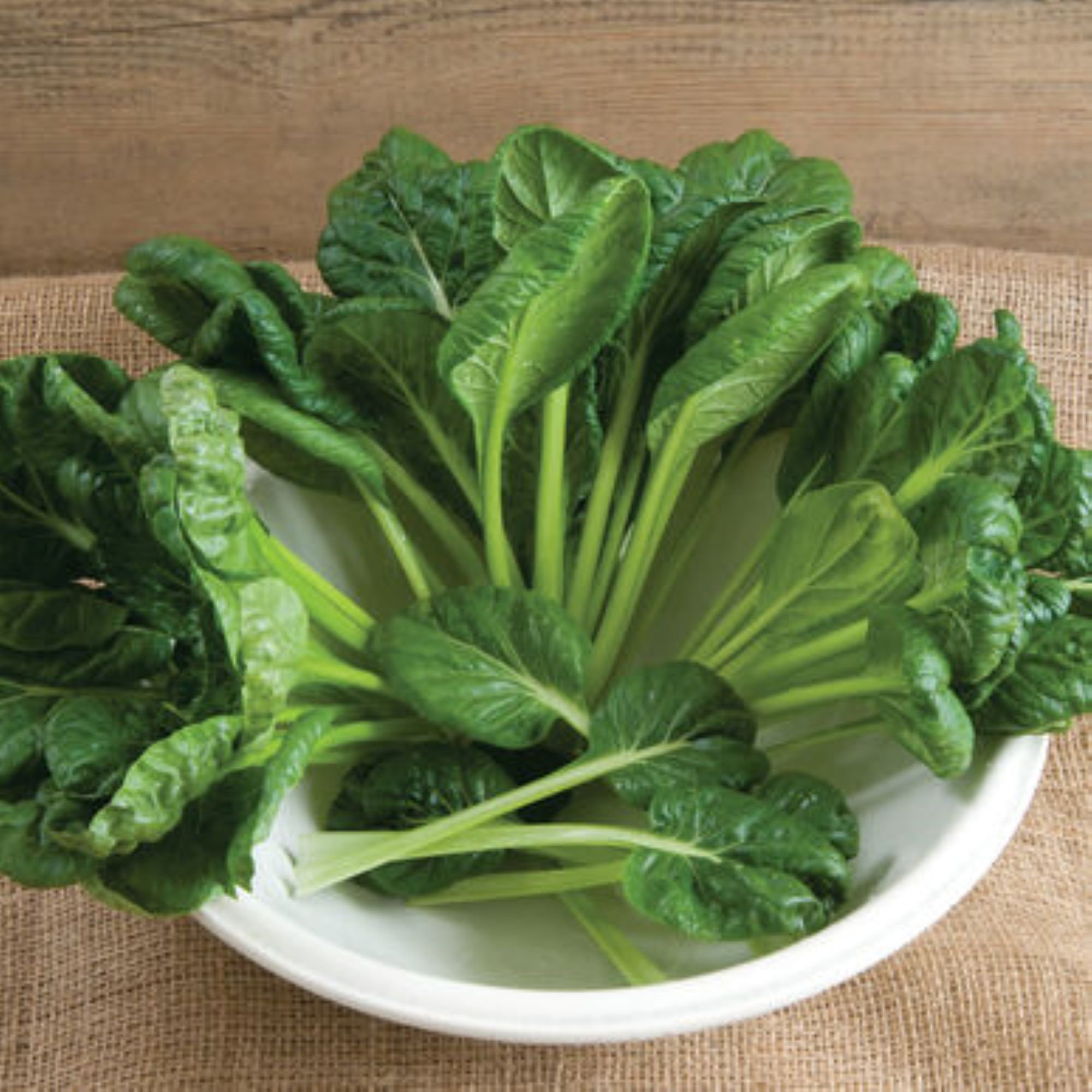 Organic Asian Tatsoi - Fresh/Tasty greens - Grown/Harvested in USA !! Specialty ! Fresh ! 2024 !