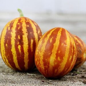 10 Rich Sweetness Melon seeds - Sweet ! Juicy !! Grown in USA !! Specialty ! Unique !