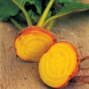 Organic Burpee Golden Beet seeds - Grown/Harvested in USA !! Delicious ! Sweet ! One gram ! Beauitful ! Gourmet ! Specialty ! 2024 !