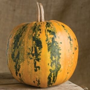 10 Kakai Pumpkin seeds - Beautiful ! Unique ! Roasted seeds ! Tasty !! Specialty !