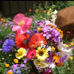 Premium Cascade Kaleidoscope flower seed mix - Beautiful !! Grown in USA !! One gram !