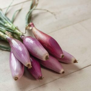 Red Long of Florence onion seed - Beautiful ! Tasty ! Sweet ! Grown in USA ! Quarter gram 75 seeds