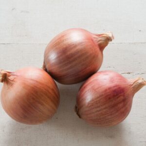 Blush specialty onion seeds - Beautiful ! Tasty ! Unique ! Grown in USA !! Specialty ! Long Day !