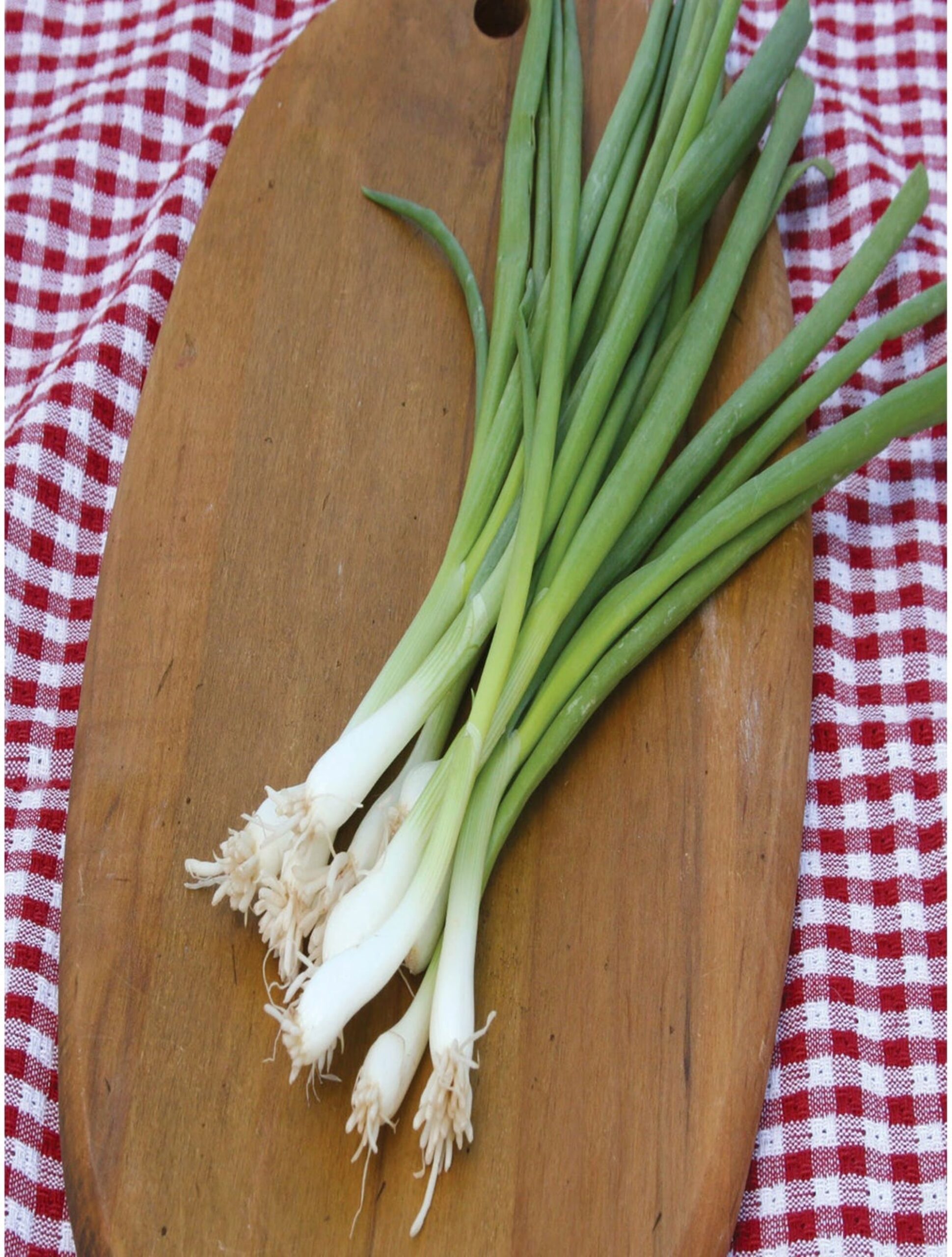 Heirloom Tokyo Long bunching onion seeds - Tasty ! Fresh ! Green onion ! Grown in USA !!