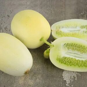 Dragons Egg Cucumber