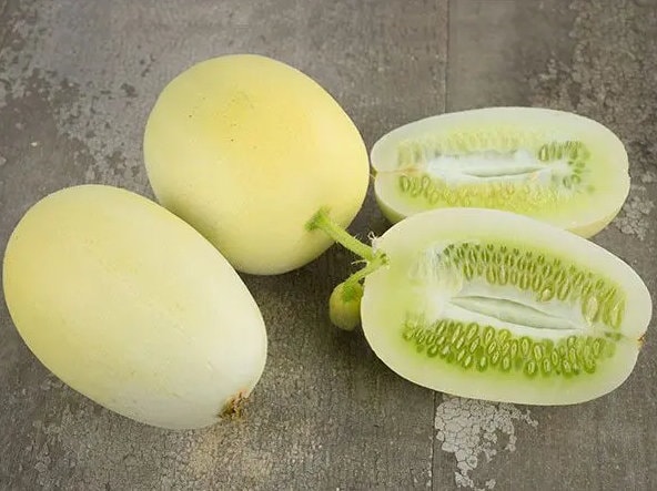 Dragons Egg Cucumber