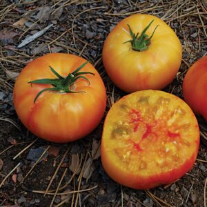 10 Organic Wherokowhai dwarf tomato seeds - Unique ! Patio ! Sweet ! Beefsteak ! USA !