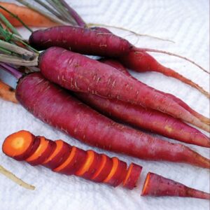 Purple Dragon Carrot