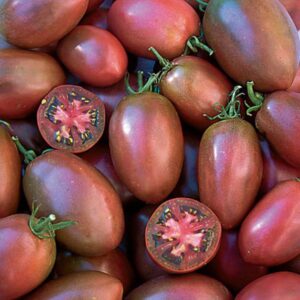 10 Ukrainian Purple tomato seeds - Juicy, Productive, Beautiful ! USA !! Paste tomato ! 2024 ! Specialty !