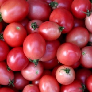 10 Heirloom Thai Pink Egg tomato seeds - Delicious, Sweet, Unique, USA !! 2024 ! Specialty !