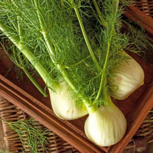 Florence Fennel seeds - One gram 900+ seeds !! Tasty !! Healthy ! Gourmet ! Specialty ! Herbs !