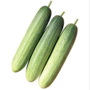 Korean Eun Cheon Cucumber