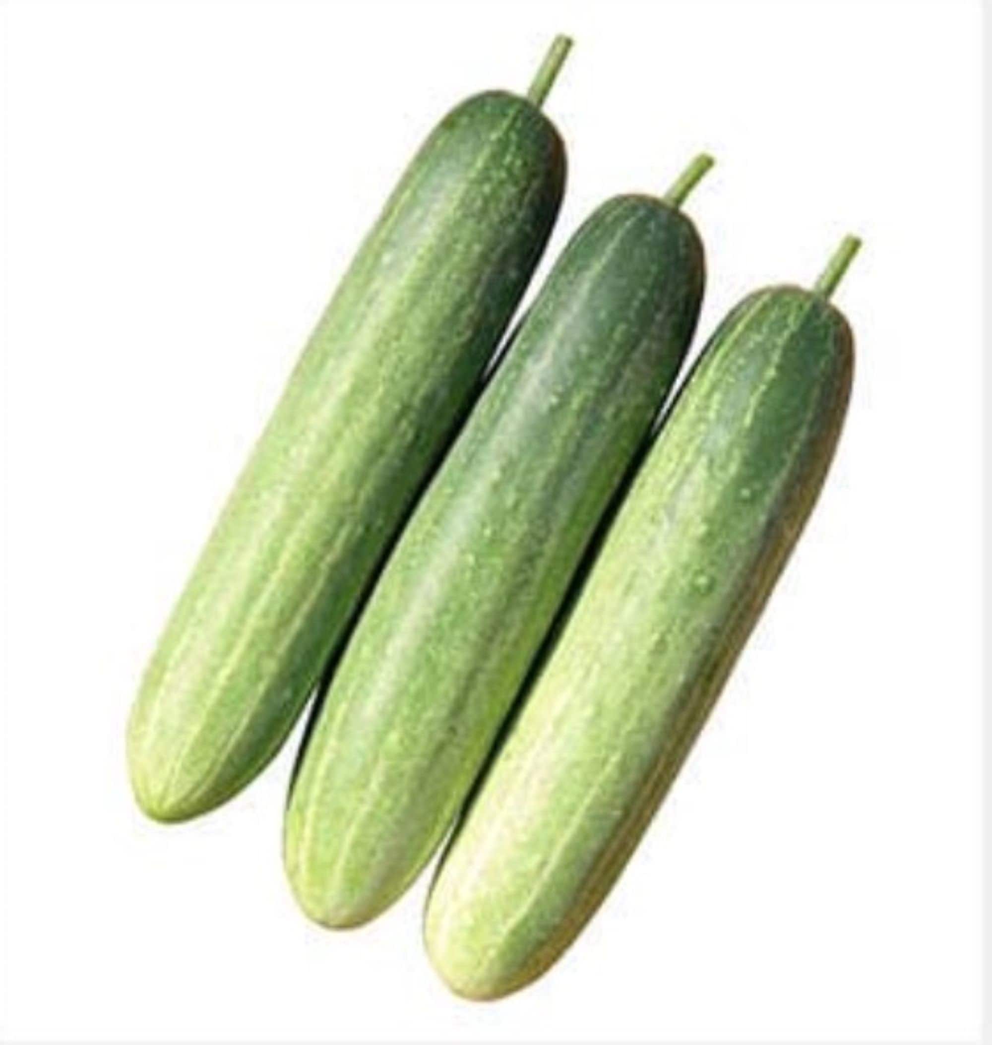 Korean Eun Cheon Cucumber