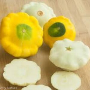 10 Patty Pan squash seeds - Yellow and white mix ! Tasty ! Fresh ! Summer squash !
