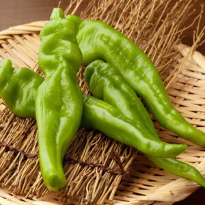 10 Heirloom Manganji sweet pepper seeds - Specialty ! Japanese ! Tasty ! USA ! 2024 !